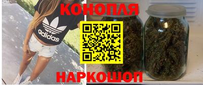 крисы Кунгур