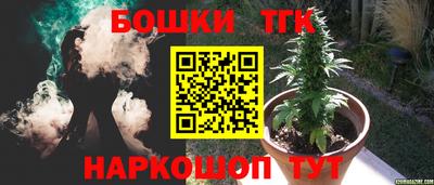 крисы Кунгур