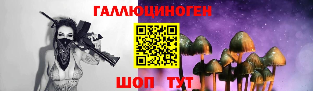 Чернушка  Псилоцибиновые грибы мицелий  купить закладку  Вход с VPN  Псилоцибиновые грибы Cubensis 